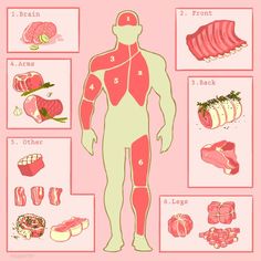 the human body is shown with different types of meats and other things to eat