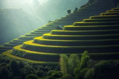 Keeping your datasets in the cloud. Pythonic guide on AWS S3 integration Worshiping God, Sapa Vietnam, Rice Paddy, Rice Terraces, Daily Devotions, Photography Basics, Composition Photography, Lombok, Ubud