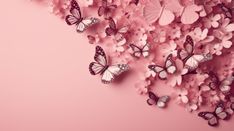 pink flowers and butterflies are arranged in the shape of a butterfly on a pink background