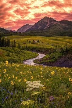 the sun sets over a mountain valley with wildflowers and mountains in the background