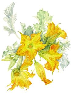 watercolor painting of yellow flowers on white background