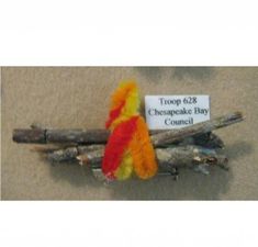 an orange and yellow bird sitting on top of driftwood with a sign in the background