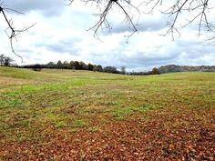 an empty field with trees in the background and leaves on the ground, under a cloudy sky