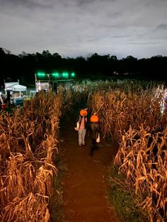 two people walking through a corn field at night