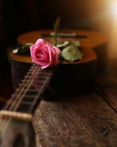 a pink rose sitting on top of an acoustic guitar with the fret in front of it