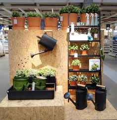 an indoor garden display with potted plants