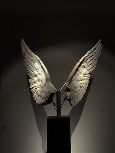 two white angel wings on top of a black square stand in front of a gray wall