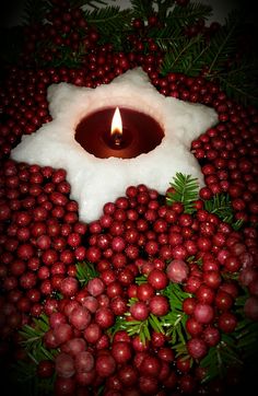 a candle surrounded by berries and pine cones