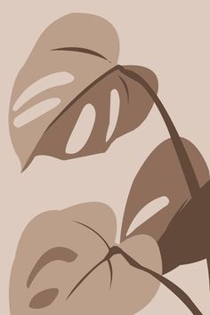 two large leaves on a beige background