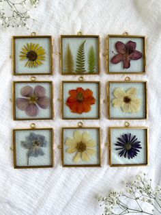 six framed pictures with flowers in them sitting on a white sheet next to some baby's breath