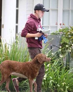 a man is walking his dog in the yard