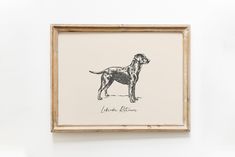 a black and white drawing of a dog is hanging on the wall next to a wooden frame