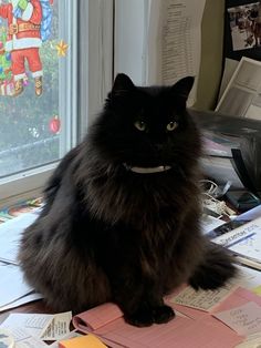 a black cat sitting on top of a pile of papers next to a computer desk