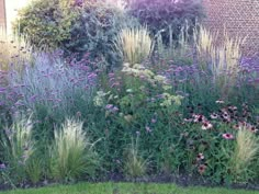 the garden is full of purple flowers and green grass, with tall grasses in the foreground