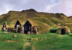 an image of some houses that are in the middle of grass field with mountains behind them