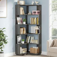 a living room with blue walls and a book shelf filled with books on top of it