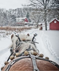 a horse drawn sleigh traveling down a snow covered country road in front of a red barn