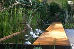 a water feature in a garden with lots of plants