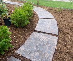 concrete-walkway Staggered Concrete Walkway, Brick Lined Concrete Walkway, Bag Concrete Walkway, Concrete In Bags Pathway, Front Walkway, Concrete Pavers