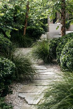 a stone path surrounded by trees and bushes