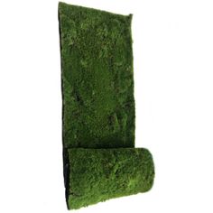 two pieces of green moss sitting on top of each other