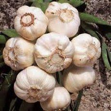 several white garlics are piled on top of each other