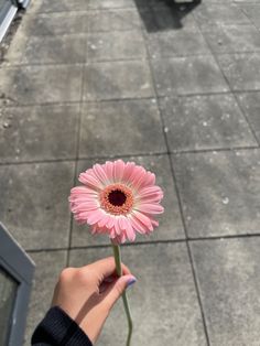 a person holding a pink flower in their hand on the sidewalk next to a building