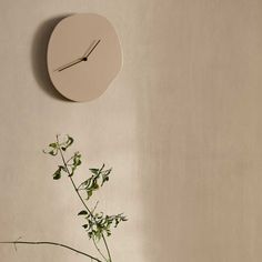 a clock mounted to the side of a wall next to a plant