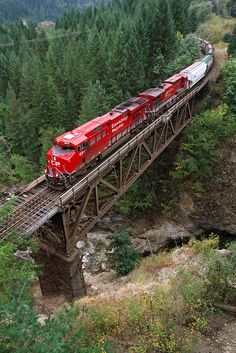 a red train traveling over a bridge in the woods