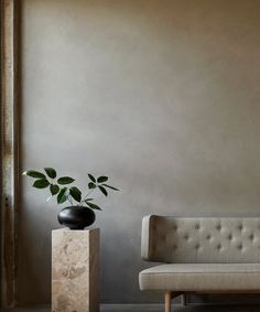 a couch sitting next to a plant in a vase on top of a wooden block