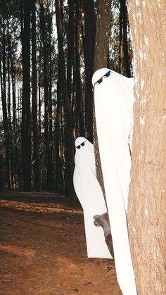 two white ghost costumes hanging from the side of a tree in front of some trees