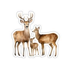 three deer and two fawns sticker on a white background with watercolor effect