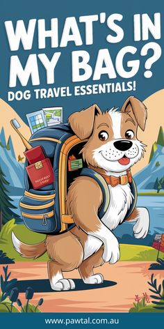 Discover exactly what you need in your travel bag for a smooth, stress-free dog travel experience. From essential safety items to comfort must-haves, this guide covers everything to keep your dog safe and happy on the road. Avoid the common packing mistakes that make travelling with pets difficult and find the exact items that make trips easier. Read now for a full checklist!