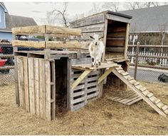 a goat standing on top of a wooden structure in a yard next to a fence