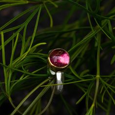 A carved, faceted Sterling Silver band is adorned with a fabulous Tourmaline encased in either 14k or 22k yellow gold. These rings were meant for the pinky finger. Most peoples pinky fingers are between a 2.5-4. Get ready to up your tea game! You’ll love this treasure for everything from bridal jewelry to daily wear. Not exactly what you're looking for? Check out our customs page. Each ring is one-of-a-kind and handmade in our Boulder, Colorado jewelry studio. Pinky Finger, Pinky Rings, Boulder Colorado, Jewelry Studio, Pinky Ring, Sterling Silver Bands, Silver Band, Bridal Jewelry, Tourmaline