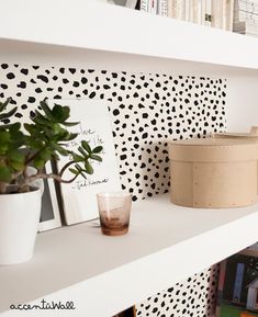 a white shelf topped with books and a potted plant next to a book case