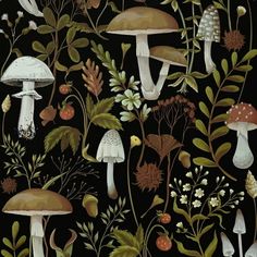 a black background with mushrooms and flowers