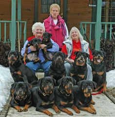 a group of women sitting next to each other with their dogs