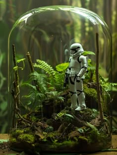 a toy stormtrooper is under a glass dome with ferns and trees in the background