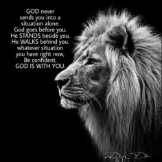 Lion Quotes, Lion Pictures, Warrior Quotes, Word Up, Lion Of Judah, Badass Quotes, A Lion, Motivational Quotes For Life, Prayer Quotes