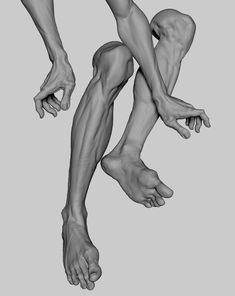 Leg Anatomy, 3d Anatomy, Anatomy Practice, Sketching Tips, Anatomy Models, Human Body Anatomy