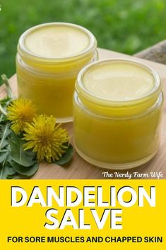 Dandelion Salve, Healing Salve Recipe, Herbal Remedies Recipes, Salve Recipes, Herbal Salves, Farm Wife, The Dandelion, A Dandelion, Herbal Tinctures