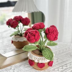 two crocheted flower pots with red flowers in them sitting on a table next to a mirror