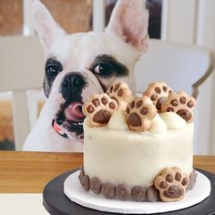 a dog is looking at a cake with paw prints on it