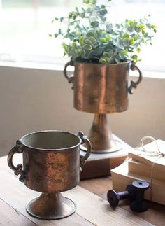 a potted plant sitting on top of a wooden table next to boxes and candles