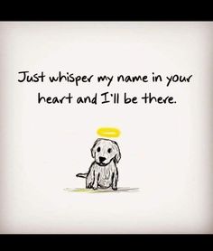 a drawing of a dog with an angel on it's head and the words, just whisper my name in your heart and i'll be there