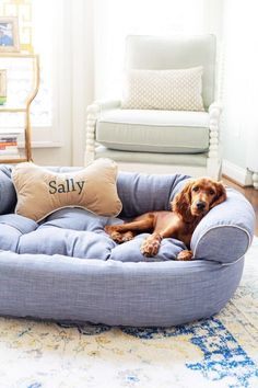 a dog is laying on his bed in the living room