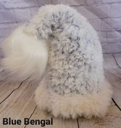 a white and gray furry animal on wooden floor with brick wall in the back ground