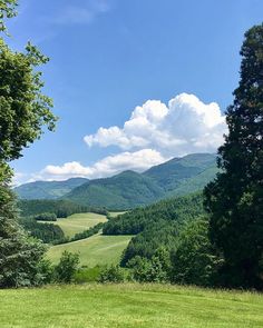 an open field with trees and mountains in the background on a sunny day that is surrounded by green grass