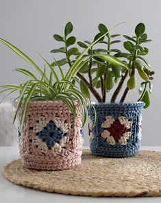 two crocheted pots with plants in them sitting on a mat next to each other